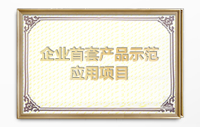企業首套產品示范應用項目
