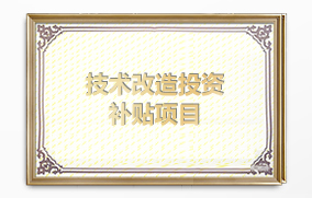技術改造投資補貼項目